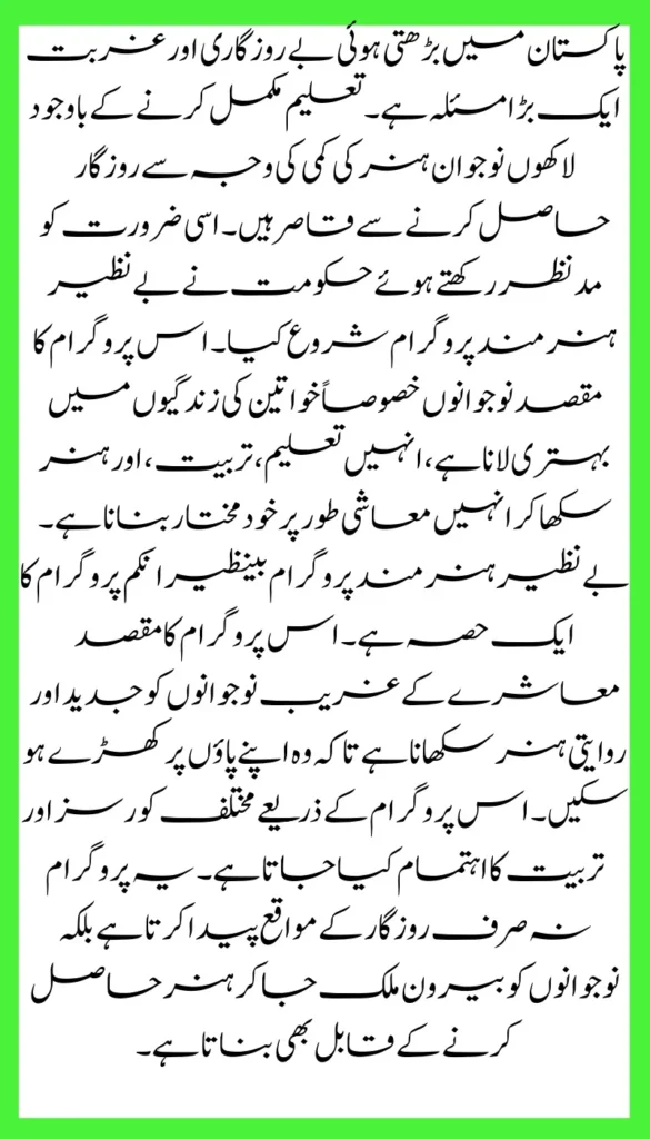 Benazir Hunarmand Program 2025 Important Guide Lines for free Skills