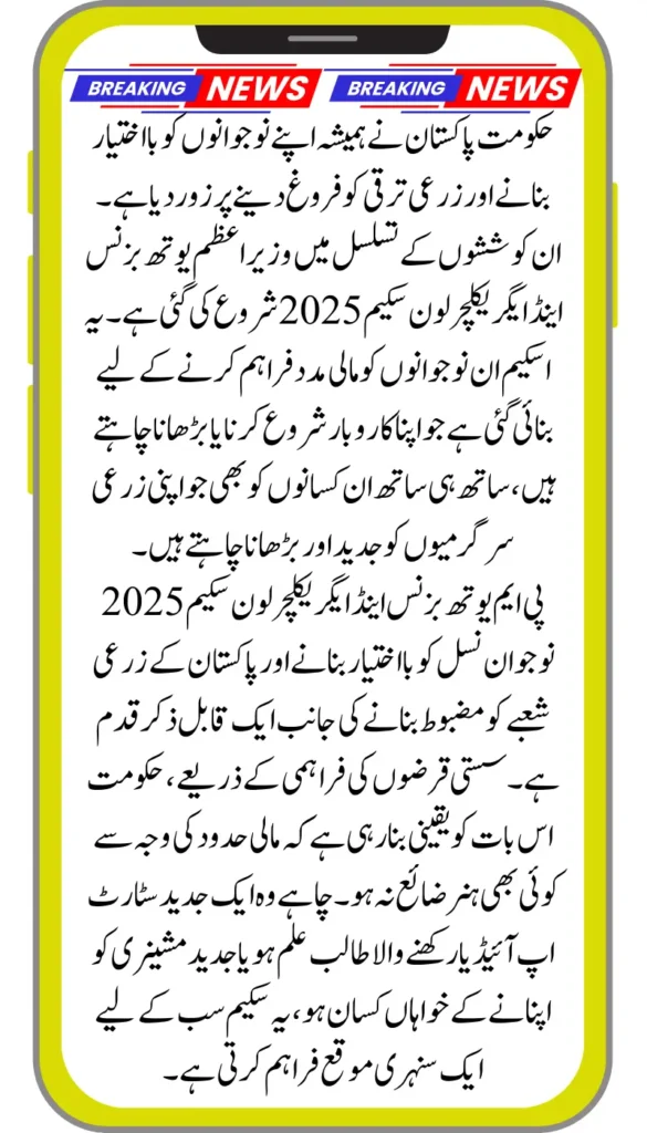 PM Youth Business and Agriculture Loan Scheme 2025 Apply Now Online