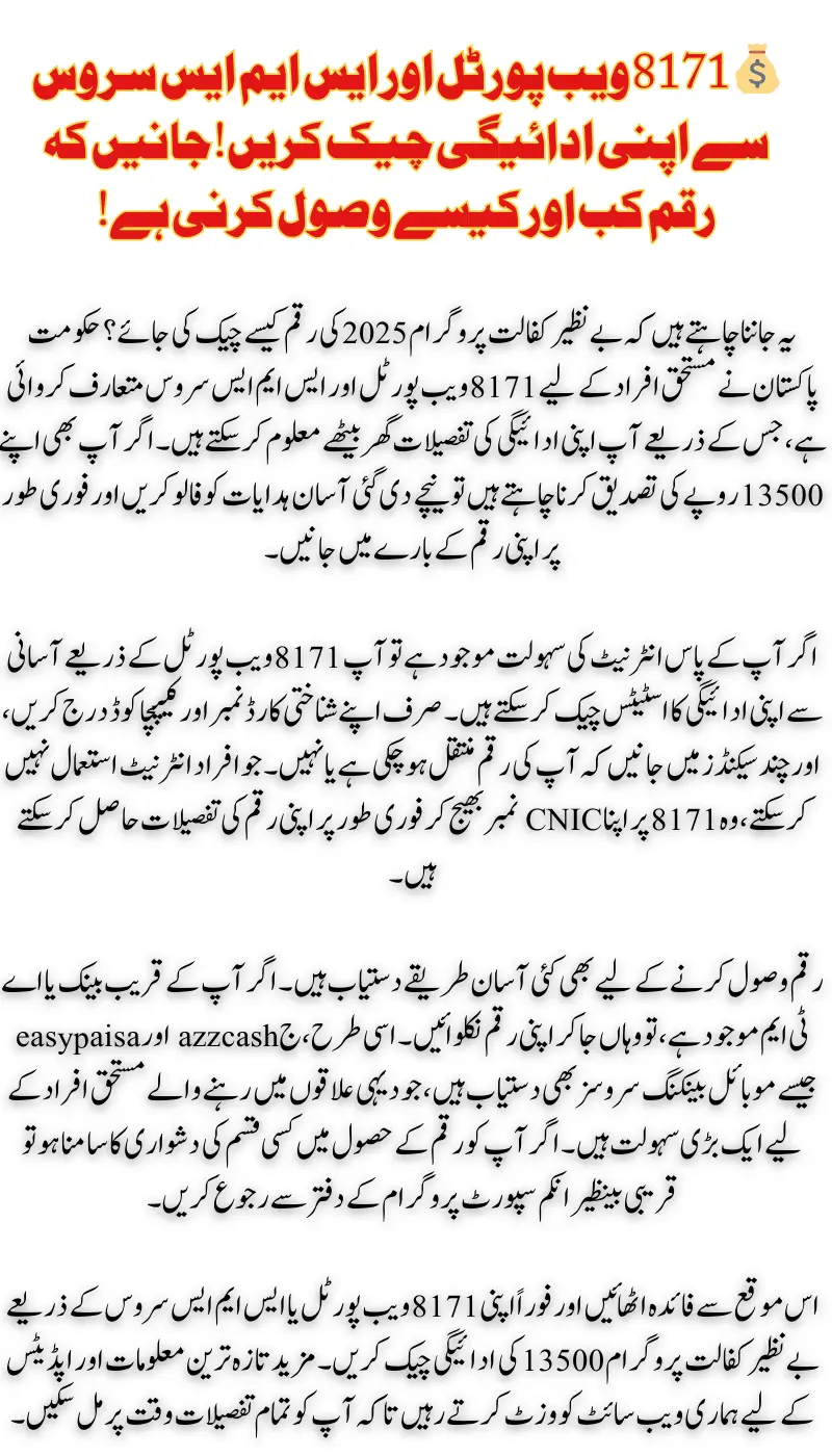 How to Check BISP 2025 Payments via 8171 Web Portal & CNIC Online?