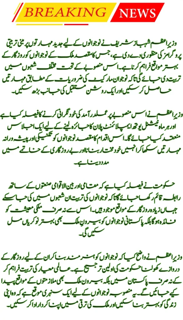 PM Shehbaz Approves National Youth Skills Training Plan to Boost Employment