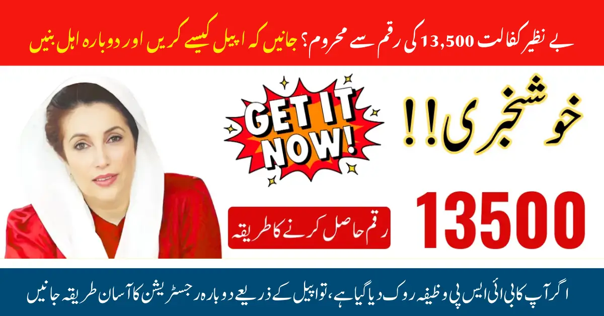 Missed Your BISP 8171 Payment? Here's the Official Way to Appeal and Claim Rs. 13,500 Now