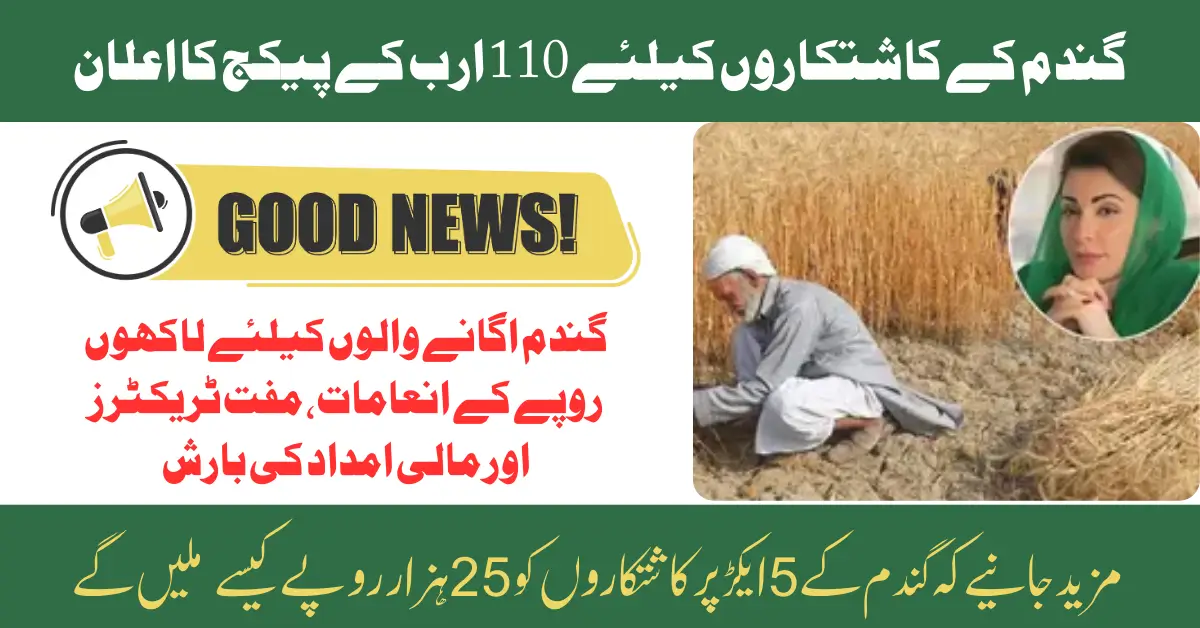 Big Relief: Punjab Govt Announces Historic Rs 110 Billion Package for Wheat Farmers – Full Details Inside!