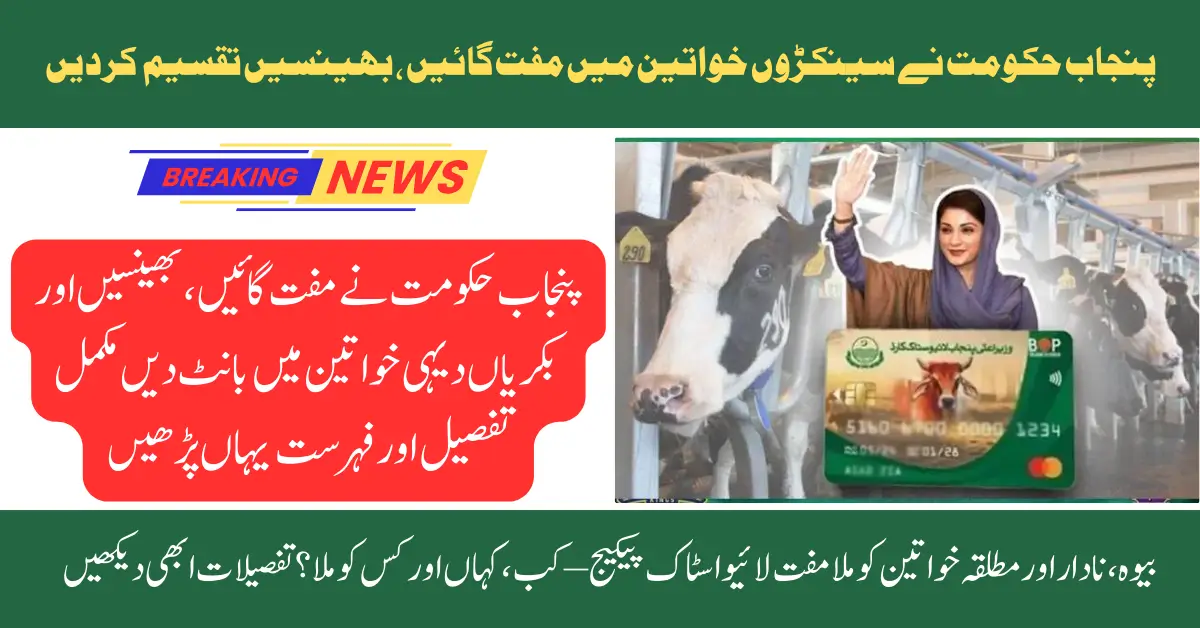 CM Punjab Free Cows & Buffaloes to Poor Rural Women - Latest Update May 2025