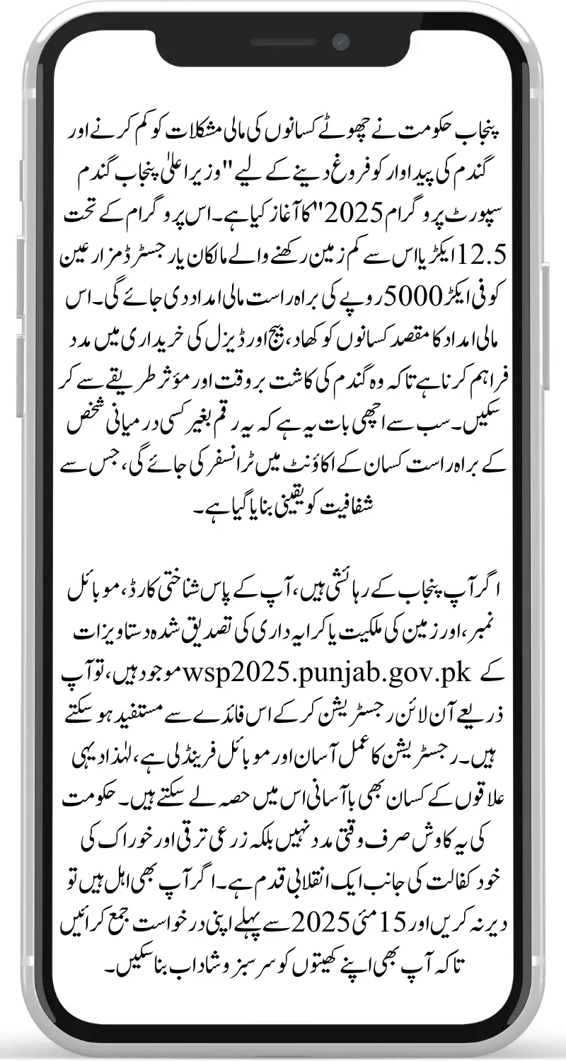 CM Punjab Launch Wheat Support Program 2025 – Get Rs. 5000/Acre Through Online Registration at WSP2025.Punjab.Gov.PK