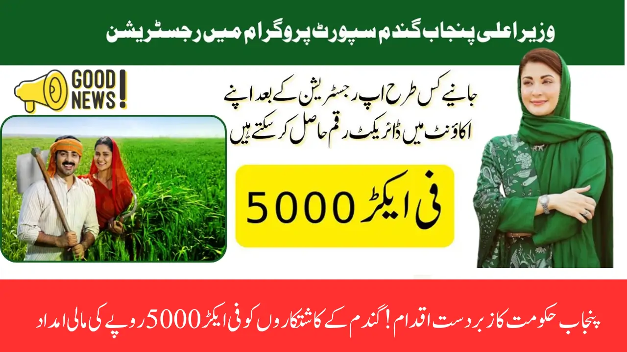 CM Punjab Launch Wheat Support Program 2025 – Get Rs. 5000/Acre Through Online Registration at WSP2025.Punjab.Gov.PK
