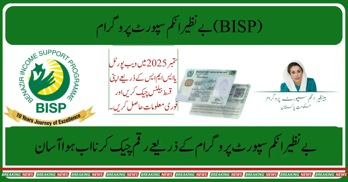 BISP 8171 How to Check Ehsaas Program Payment with Your CNIC and Name