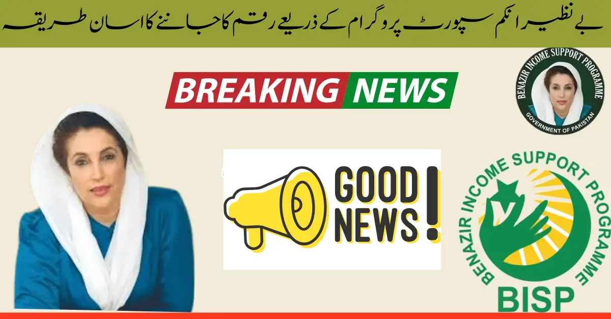 BISP 8171 Procedures for checking payment eligibility through CNIC in 2025