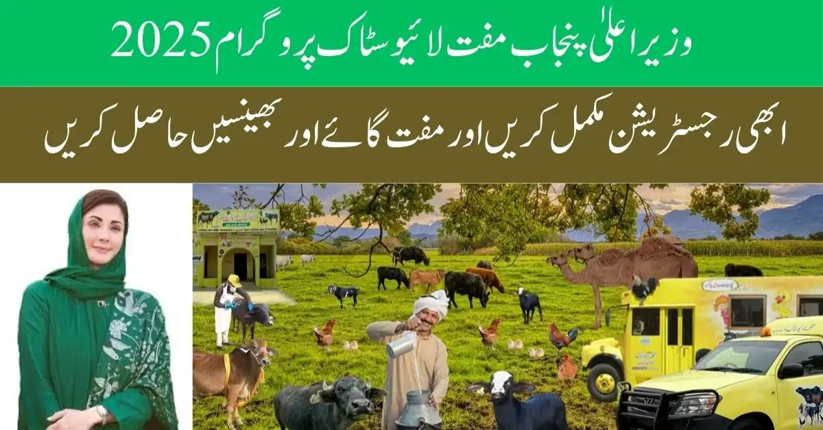 CM Punjab Free Livestock Program 2025 – September Update
