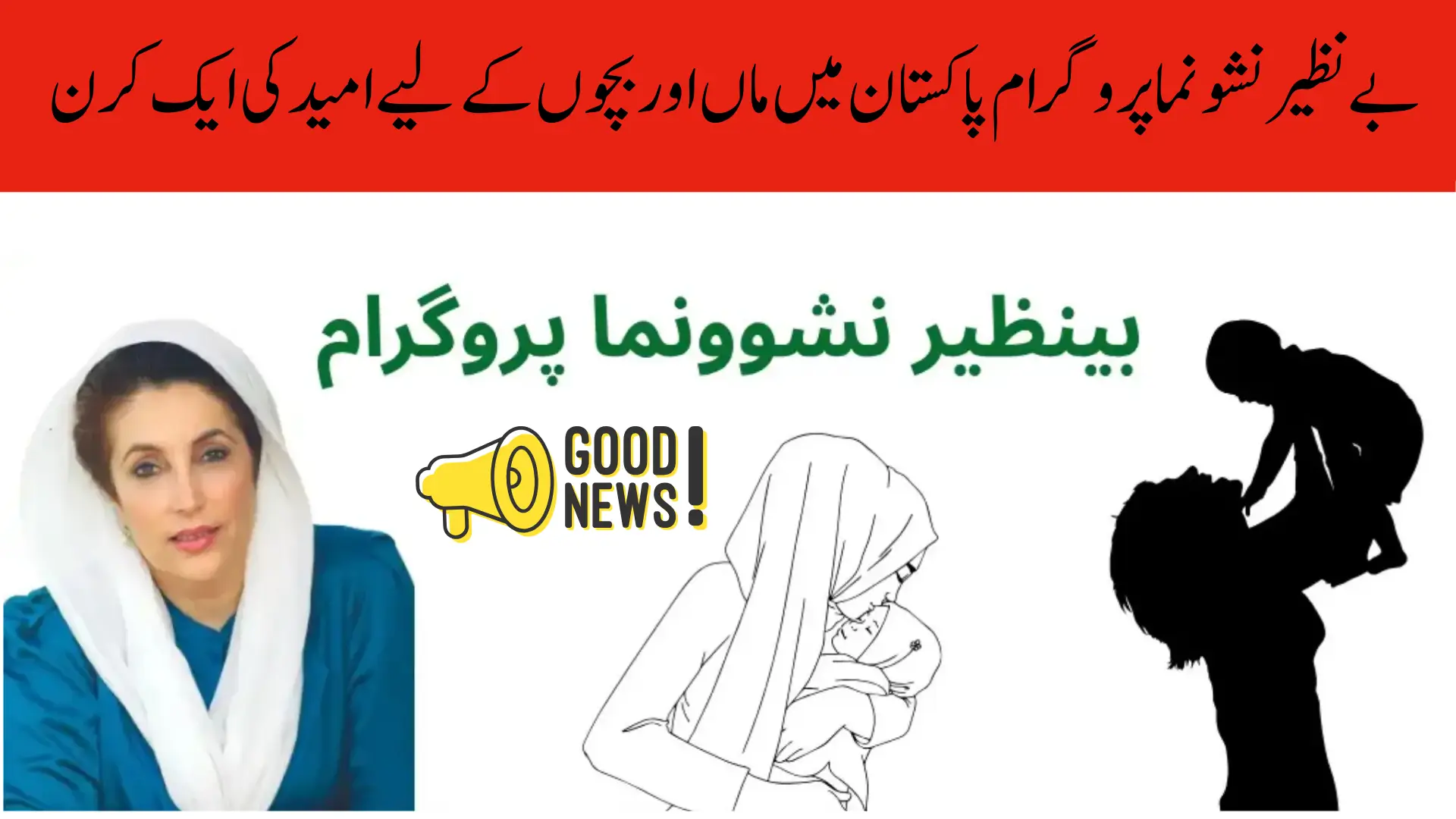 How to Apply for Benazir Nashonuma Program Eligibility & Payment via 8171