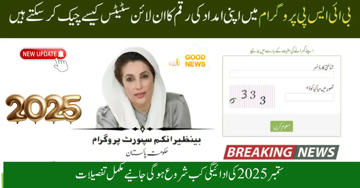 How to Check BISP Balance Online Using CNIC – Updated September 2025