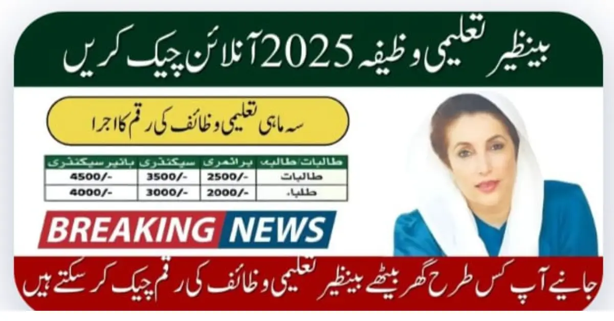How to Check Benazir Taleemi Wazaif Online – Step by Step Guide (2025)